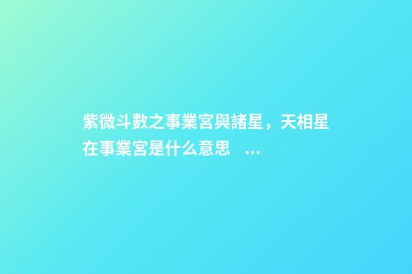 紫微斗數之事業宮與諸星，天相星在事業宮是什么意思？